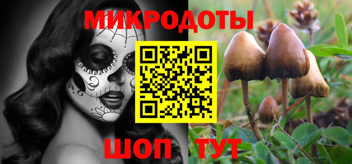 Красноярск  Псилоцибиновые грибы прущие грибы  Псилоцибиновые грибы Psilocybine cubensis  Вход с VPN 