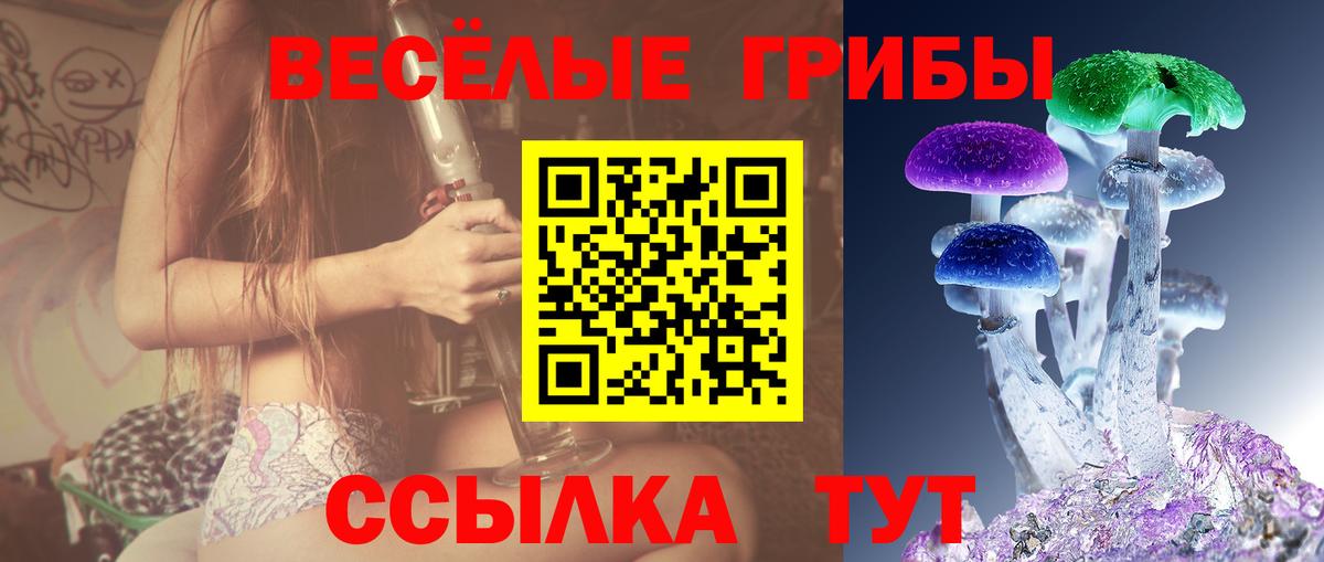 Галлюциногенные грибы прущие грибы Красноярск